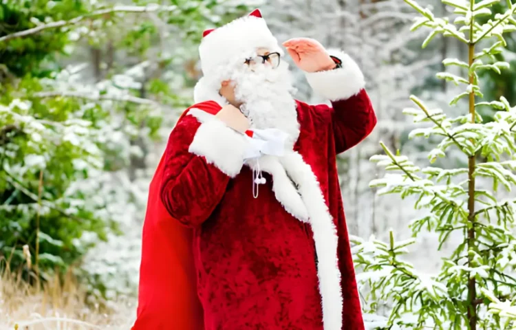 Budget vs. Luxury_ Finding the Best Value Velvet Santa Costume