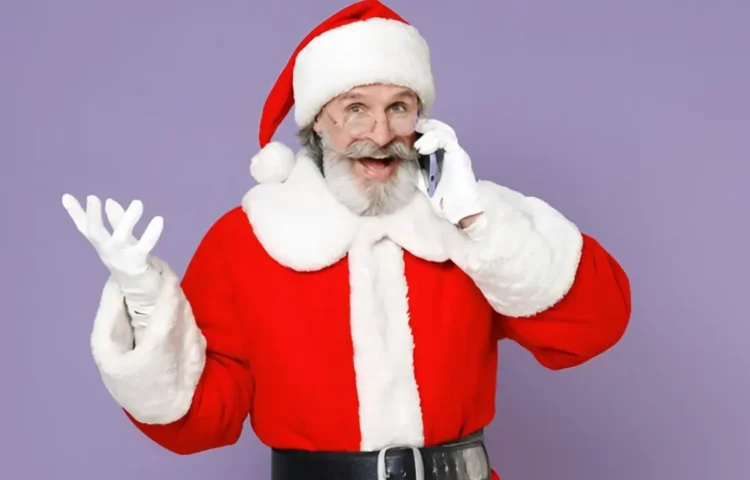 Mixing Tradition with Glamour: The Modern Velvet Santa Costume