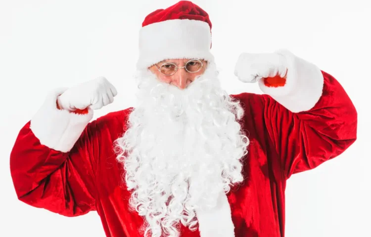 Red Velvet Santa Costume for Winter Carnivals