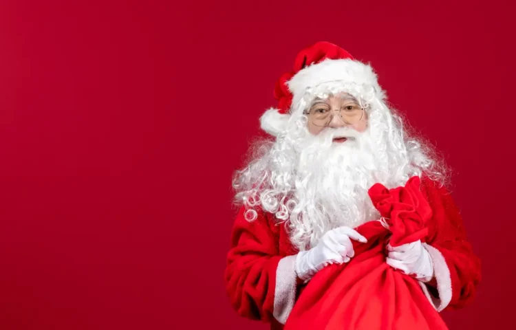 Top 5 Must-Have Accessories for a Velvet Santa Costume